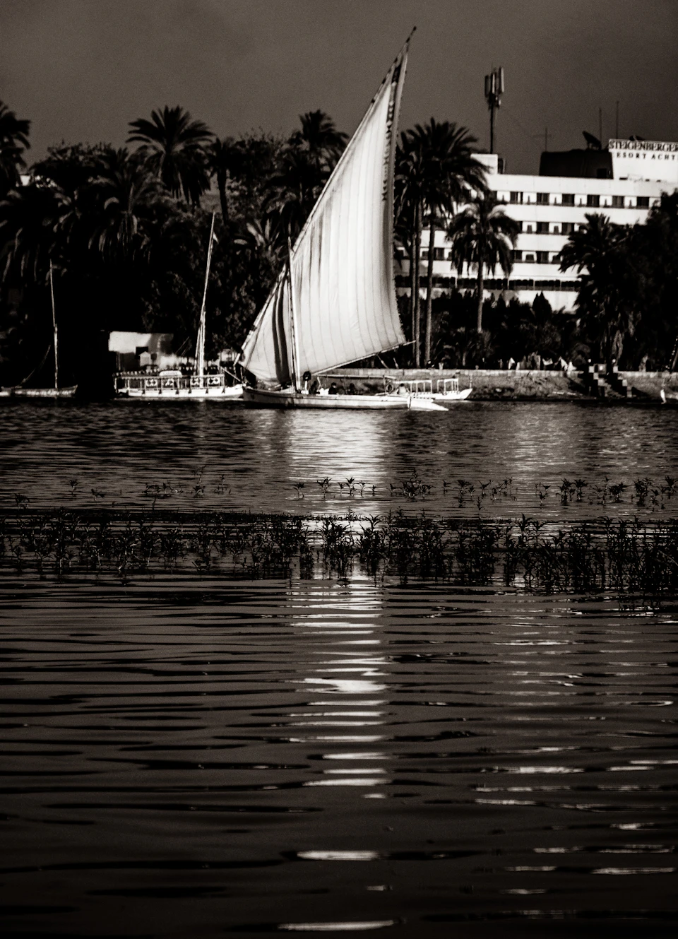 Felucca on the Nile